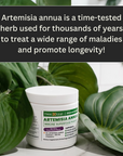 ARTEMISIA ANNUA | Immune Superfood Powder