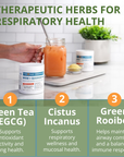 MSM + QUERCETIN | Respiratory Defense & Recovery Powder