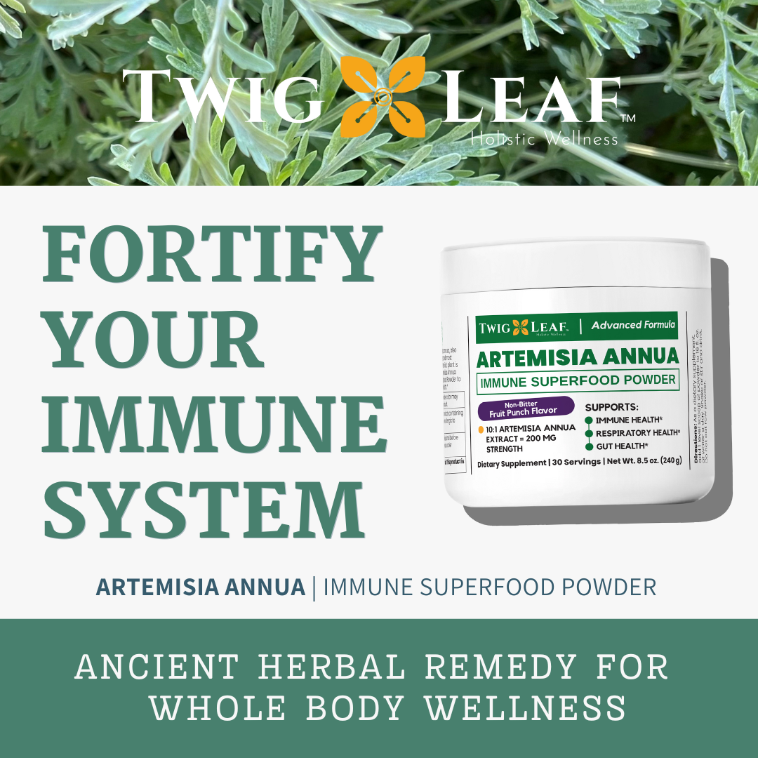 ARTEMISIA ANNUA | Immune Superfood Powder