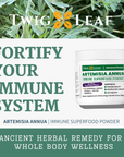 ARTEMISIA ANNUA | Immune Superfood Powder