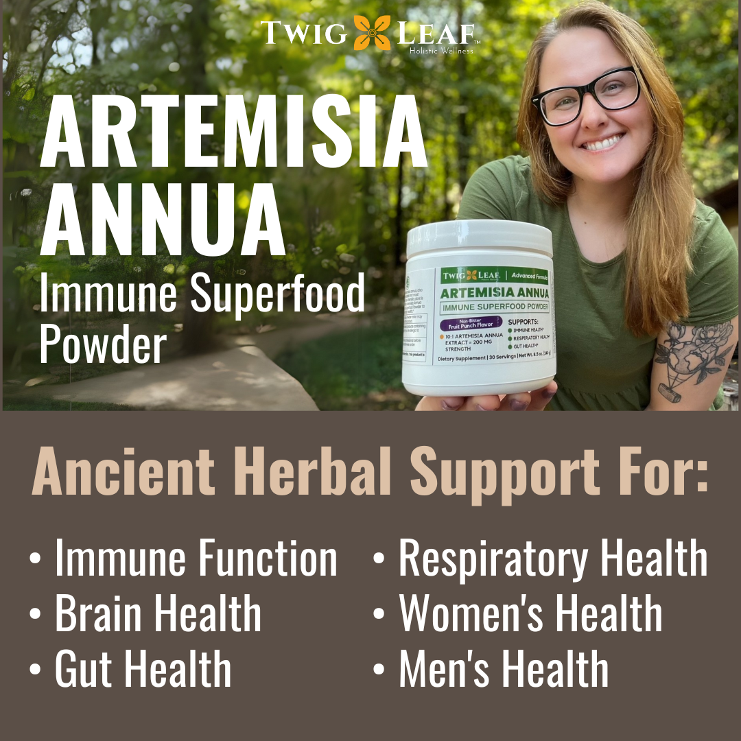 ARTEMISIA ANNUA | Immune Superfood Powder