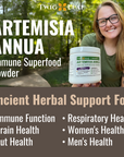 ARTEMISIA ANNUA | Immune Superfood Powder