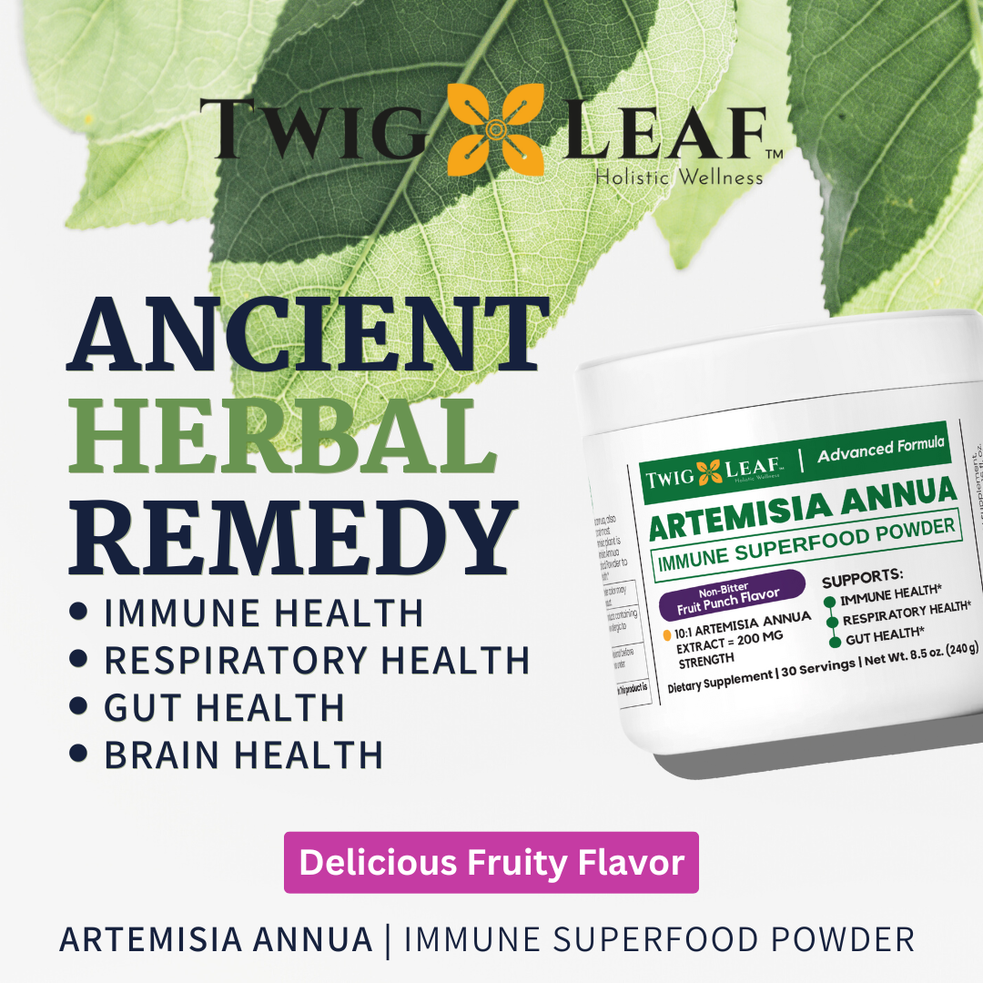 ARTEMISIA ANNUA | Immune Superfood Powder