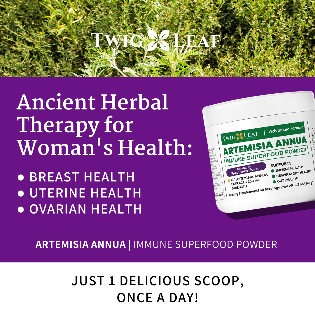 ARTEMISIA ANNUA | Immune Superfood Powder