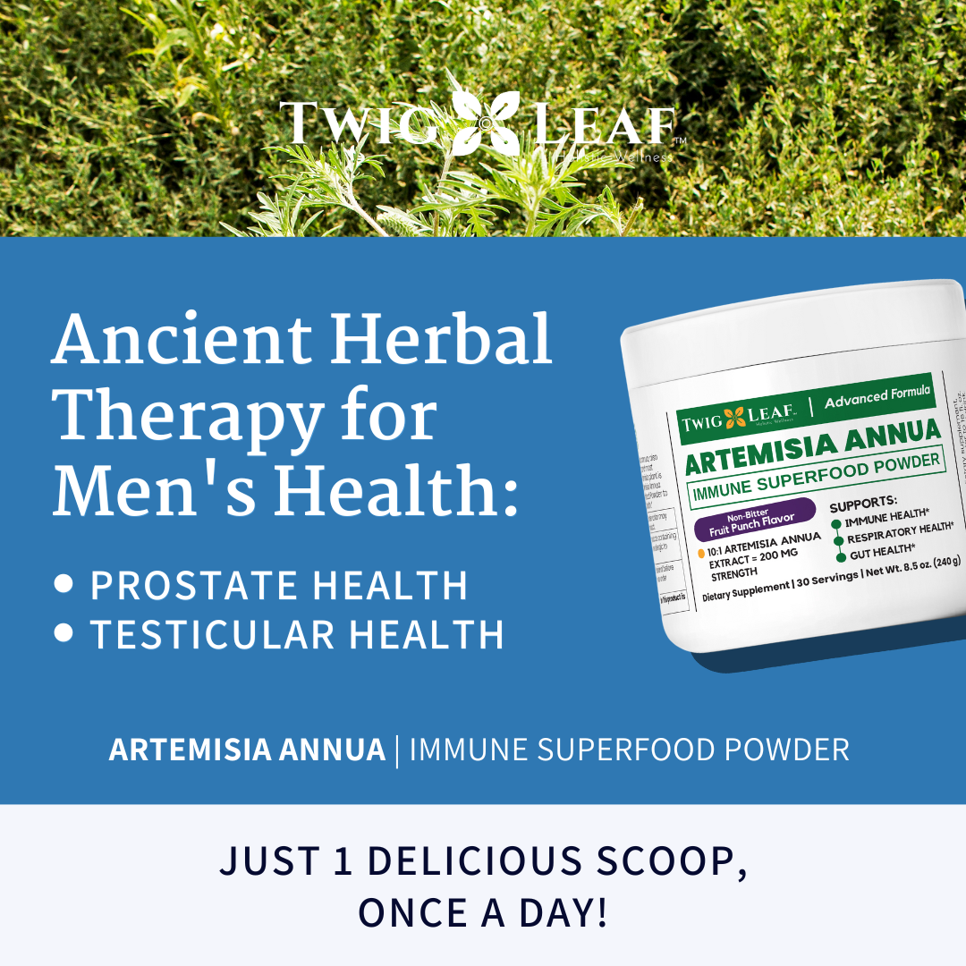 ARTEMISIA ANNUA | Immune Superfood Powder