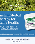 ARTEMISIA ANNUA | Immune Superfood Powder